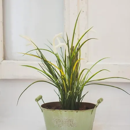 Ardmar Vila do Bispo